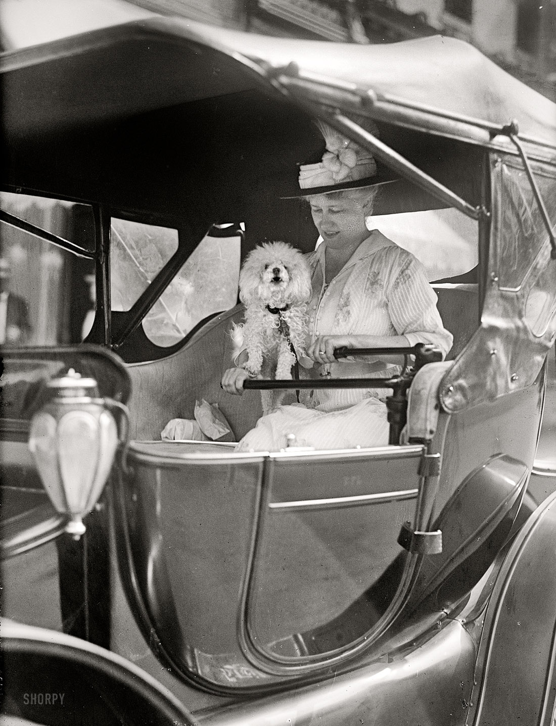 Washington, D.C., 1915. "Mrs. Robert Lansing in auto." Eleanor Foster Lansing, wife of Woodrow Wilson's new Secretary of State, with her poodle at the tiller of an electric car. Harris & Ewing Collection glass negative. View full size.