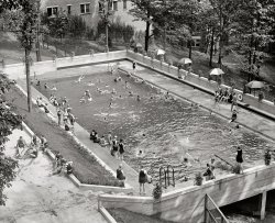 July 15, 1922. The new swimming pool at the Wardman Park Hotel in Washington. National Photo Company Collection glass negative. View full size.
What a slopeThat's quite a slope where the pool is — Wardman Park must have been very keen to have one. What's there now?
[As noted in the caption, this was a hotel pool. Currently the location of the Marriott Wardman Park. - Dave]
Of the seven nymphetsI have been sitting here for an hour wishing the young lady closest to the camera would turn  around and wave. Sigh.
Good timing!I'll be at the Marriot Wardman Park next month for a conference. They still have an outdoor pool, but I'm pretty sure it's not in the same location.
View Larger Map
Beach paleLook at those pasty legs flapping about at the far end of the pool. Somebody's having a really good time out there. 
(Or, I suppose, a really bad time -- should someone be throwing out that life preserver?)
ShirtsI notice all the guys are wearing tops. Was that a rule?
Busted!Although most of the subjects in the Shorpy shots are looking at the camera, I feel like I'm invading the privacy of some of these bathers. The group of guys on the long side of the pool, who are apparently aware of the camera, also seem to be aware that I personally am watching them. After eighty seven years you'd think they would be more receptive to an audience!
(The Gallery, D.C., Natl Photo, Sports, Swimming)
