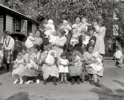 August 29, 1922. Washington, D.C. "Plaza baby show." Happy Mother's Day from Shorpy! National Photo Company Collection glass negative. View full size.
Plaza Playground

Washington Post, Aug 11, 1922 


Children Hold Fete As Playground Opens

The Plaza playground, second street and Massachusetts avenue northeast, was formally opened last evening.  The playground is being operated this year for the first time by the municipal playground department.
Scores of visitors and several hundred children took part in the exercise.  Boys and girls who play on the Plaza ground had their play space elaborately decorated with Japanese lanterns.  The exercises were in the form of a lawn fete and an exhibition of playground activities.
A variety of the dances taught on the playgrounds were presented and specimens of the industrial work done by the children was exhibited.  Mrs. Katherine Swanson is director and Miss Helen Einstein assistant director of the new ground.


Washington Post, Aug 17, 1922 


Few Playgrounds for 15,500 Children

Northeast Washington, compromises an extensive area of the city, with few playgrounds.  In the opinion of those in charge of playgrounds, it furnishes a good illustration of the experience Washington in not only lacking sites in an area where there are many children, but in having lost sites through failure to make the necessary appropriation of money before the land was acquired by private interests.
The northeast includes the largest and probably the best equipped large playground operated by the municipal system, but is far removed from the only other playground for white children in that section.  For colored children there is but one municipal playground. The Lovejoy school, Twelfth and D streets, has been kept open this summer by the playground department to help fill this need.
...
The Plaza playground, as the sites as Second street and Massachusetts avenue are known, compromise five and a quarter acres of play space.  On one piece of the ground the Liberty hut once stood.  A full sized baseball diamond where all school games for that part of the northeast are played, and the girls basketball and tennis course are on this playground.  One section is reserved for the little people and a variety of things are provided for them.  The Plaza playground is loaned by the Federal government.
Sweet PictureLots of love and motherly compassion in those faces. Hope all the moms reading had a special day today. My Mom has been gone three years. Miss her.
OuchThat's quite the pumpkin head, far left, front row.  Mom is probably still describing that ordeal to her neighbor.
Top row, second from right, that child is not getting cheated at feeding time.
The Lifecycle!If we are lucky, maybe a third of these babies are still with us and now into their 80's and 90's. We come into the world with no teeth, hair and in diapers, and some of us go out that way too! Anyway what a precious bunch of moms and babies! Happy Mothers Day!
Charming PhotoIt looks like an audition for the 1932 edition of 'The Little Rascals'!  Wonder where they all wound up? Doctors, Lawyers, Indian Chiefs?
(The Gallery, D.C., Kids, Natl Photo)