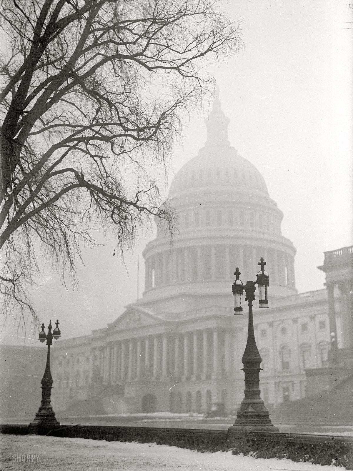 1917. The Capitol in the snow. Harris & Ewing glass negative. View full size.