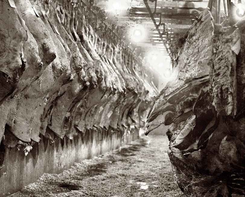 Washington, 1923. "Beef in storage." View full size. National Photo Company.
