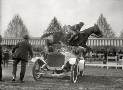 Washington, 1916. "Horse shows. Ralph Coffin jumping his horse over Sylvanus Stokes's Rolls-Royce on Rabbit." Harris &amp; Ewing glass negative. View full size.
1 HorsepowerI wonder who was more nervous -- the jumper or the people in the car?
Stunt Jumpers East and WestThis great photo of an exhibition jump is matched by the fun of the Society caption. In addition to the competition events, horse shows and rodeos were often enlivened by the unique stunts performed as special attractions. This image instantly reminded me of another spectacular stunt jump photo, taken at Cheyenne Frontier Days in 1929, depicting a "Roman Rider" named L. Tyndall jumping an Auburn touring car while standing on the backs of a famous pair of horses trained by the Nebraska bronc rider Buck Lucas.

1916 RollsLike most Rollses of the era, this had a custom-made body. Click to enlarge.

Nice RideSince there are no headlights on this car I assume this is Mr Stokes's daytime Rolls-Royce.
Fourth Time&#039;s a Charm

Horse King at Show
Splendid Card of Sixteen Events Holds Opening-Day Throng

With the paddocks at the horse show grounds filled to capacity with the East's elite of thoroughbred horses, with a band playing popular melodies to an endless stream of local and visiting horse lovers, the fifth annual National Capitol horse show yesterday afternoon opened its five-day card of showings under a streaming sun.  The show will resume tomorrow and continue daily through Wednesday.
...
The "special" yesterday was the automobile jump, which Ralph Coffin, of this city, performed on his hunter, Rabbitt, in jumping over an automobile in which three persons sat.  The mount refused three times but took the jump on the fourth approach.  In the car sat Sylvanus Stokes, jr., the owner of the car;  Mrs King Stone and Miss Margaret Fahnestock, all of this city.

Washington Post, May 7, 1916 


WindshieldDig that two-part windshield! Looks like a pair of aviator glasses.

HeadlampsAcetylene headlamps were easy to remove, especially by those who didn't own them, so owners often left them home in the daytime.
What a beauty!The horse that is, that is a lovely jump. However, my old jumping instructor would have a lot to say about the jumper's feet and posture. You are supposed to look where you want the horse to go so you don't shift your balance, not at the beautiful car underneath!
It is a Napier.  It is a Napier car, made in England 1900 - 24
Development of the &quot;forward seat&quot; in jumpingUp until the end of the 19th century Americans and Europeans generally rode in what was called the "chair" or “fork" seat, even when jumping.  The rider's feet were well ahead of the knees and the rider's upper body came well behind the vertical when jumping.

(Henry Thomas Alken "Fox hunting")

Example of military fork seat over fences.
At the end of the ninetheenth century, An Italian Calvary Captain, Frederico Caprilli, observed horses at liberty and began experimenting with shortening the stirrups and having the rider balance in a more forward position, especially over jumps.  The Italian Army invited officers from other countries to ride and study at their cavalry school, including officers from the United States.  Between the early 1900s and the mid-1920s, the "forward seat" was universally adopted by cavalries in the US and Europe.
This is reputed to be a photo of Caprilli jumping a car, circa 1906

Here's  a current example:

(Tara Ziegler riding Buckingham Place at the Combined Training Event at RedHill, March 20, 2008)
The 19th century saddles had to be redesigned to support the "forward seat". 
Rider PositionLovely old photo showing the evolution of the modern jumping seat!  The rider's position wouldn't win any eq ribbons today, but his hands are soft and the horse's ears show relaxed attention.  A highly skilled horseman, I'd say. 
(The Gallery, Cars, Trucks, Buses, D.C., Harris + Ewing, Horses)