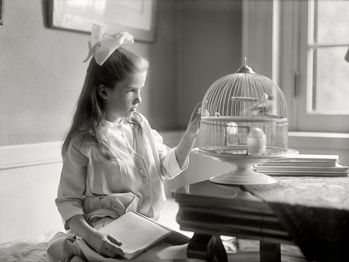 Washington, D.C., circa 1915. "Child with birdcage." A budding Audubon with her notes. Or maybe a recipe. Harris & Ewing glass negative. View full size.