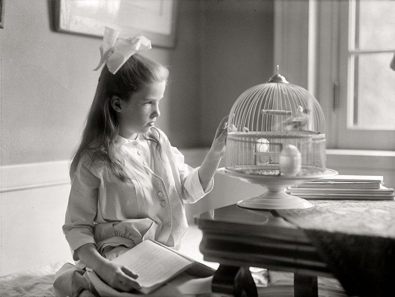 Washington, D.C., circa 1915. "Child with birdcage." A budding Audubon with her notes. Or maybe a recipe. Harris &amp; Ewing glass negative. View full size.
