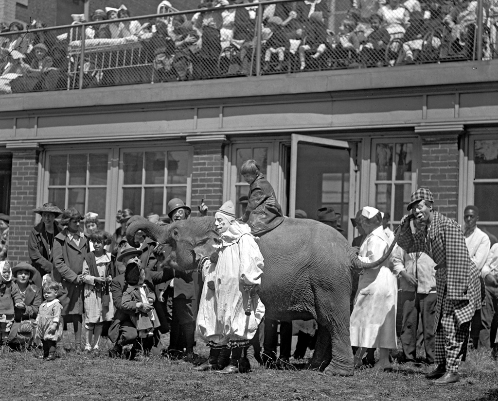 Clowns and animals entertain kids at a children's hospital in the Washington, D.C. area on May 1, 1923. From the National Photo Company collection. View full size.