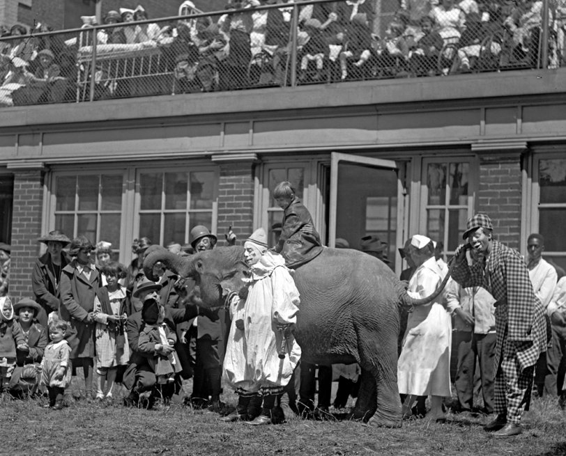Clowns and animals entertain kids at a children's hospital in the Washington, D.C. area on May 1, 1923. From the National Photo Company collection. View full size.
