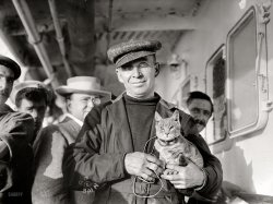 October 1910, aboard the steamship Trent off Bermuda. "M. Vaniman and cat." Melvin Vaniman, first engineer aboard the hydrogen airship America, with the tabby cat mascot of their ill-fated attempt at the first air crossing of the Atlantic Ocean. 5x7 glass negative, George Grantham Bain Collection. View full size.