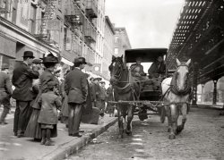 "Express Strike, New York City." In 1910, wagon drivers for Adams Express, American Express, Wells Fargo and other delivery companies went on strike, leading to riots and rock-throwing when the strike-breakers were called in. 5x7 glass negative, George Grantham Bain Collection. View full size.
(The Gallery, G.G. Bain, Horses, NYC)