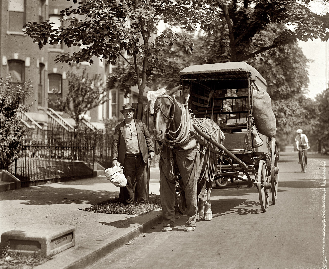 July 1923. A wagon horse outfitted against summer insect pests on the streets of Washington, D.C. View full size. National Photo Company Collection.