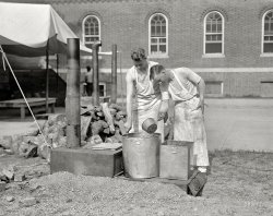 Washington, D.C., or vicinity circa 1917. "Camp cooks." Now where'd we leave that salt shaker? Harris & Ewing Collection glass negative. View full size.