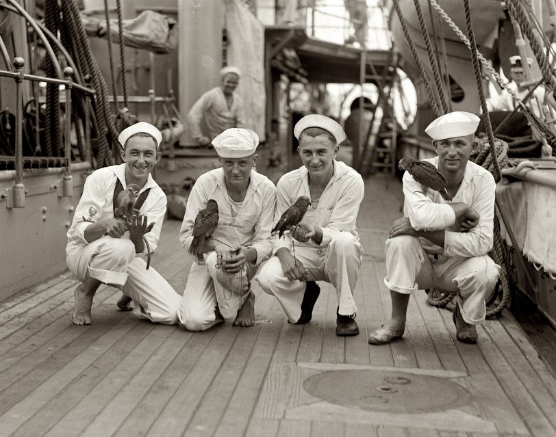 September 7, 1923. "Massachusetts Nautical School." Sailors and shipboard pets. View full size. National Photo Company Collection glass negative.
