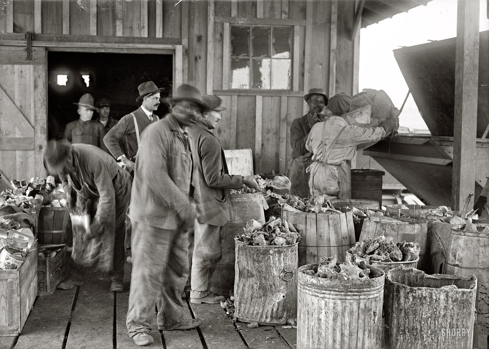 1917. "Camp Meade, Maryland. Miscellaneous views." Ashcans and garbage at the mess hall. Harris & Ewing Collection glass negative. View full size.