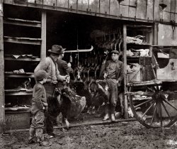 Buying the Thanksgiving turkey circa 1910. Plucking required. View full size. 5x7 glass negative, George Grantham Bain Collection.