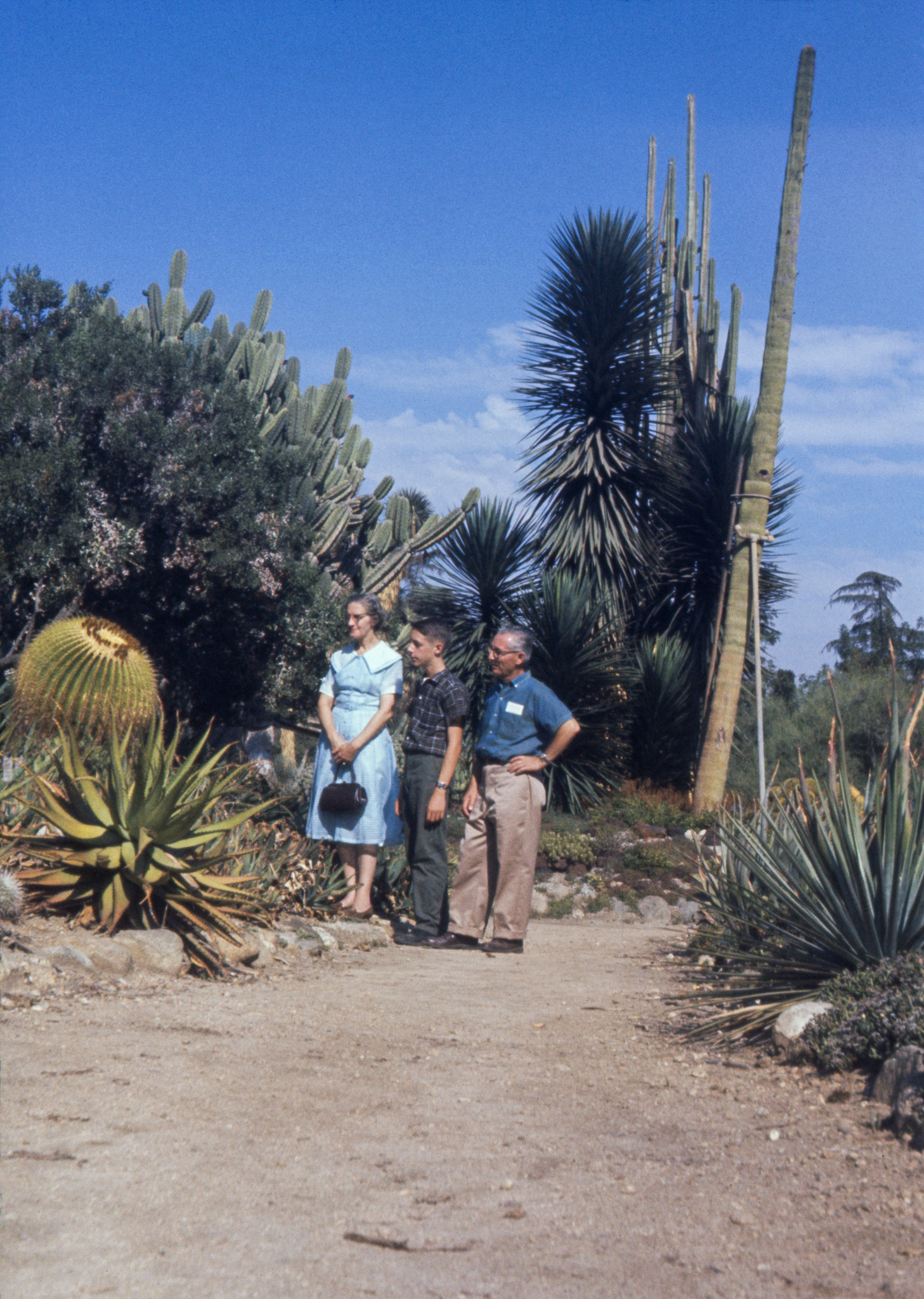I don't remember me and my folks accidentally stumbling through a reducing ray in July 1960, so this must be our visit to Huntington Gardens in San Marino, California.

My brother's 35mm Ektachrome slide. View full size.