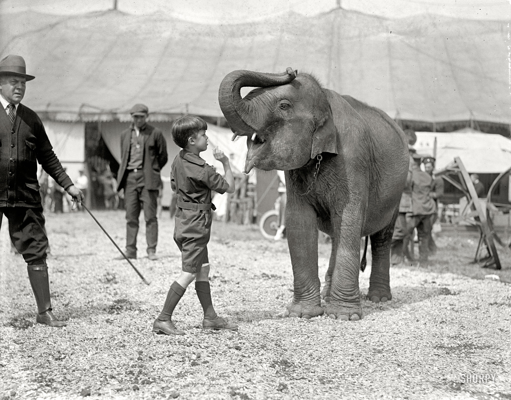 May 13, 1924. Washington, D.C. "Teddy Roosevelt 3d at circus." Last seen in our previous post as a budding boxer.  National Photo Co. View full size.