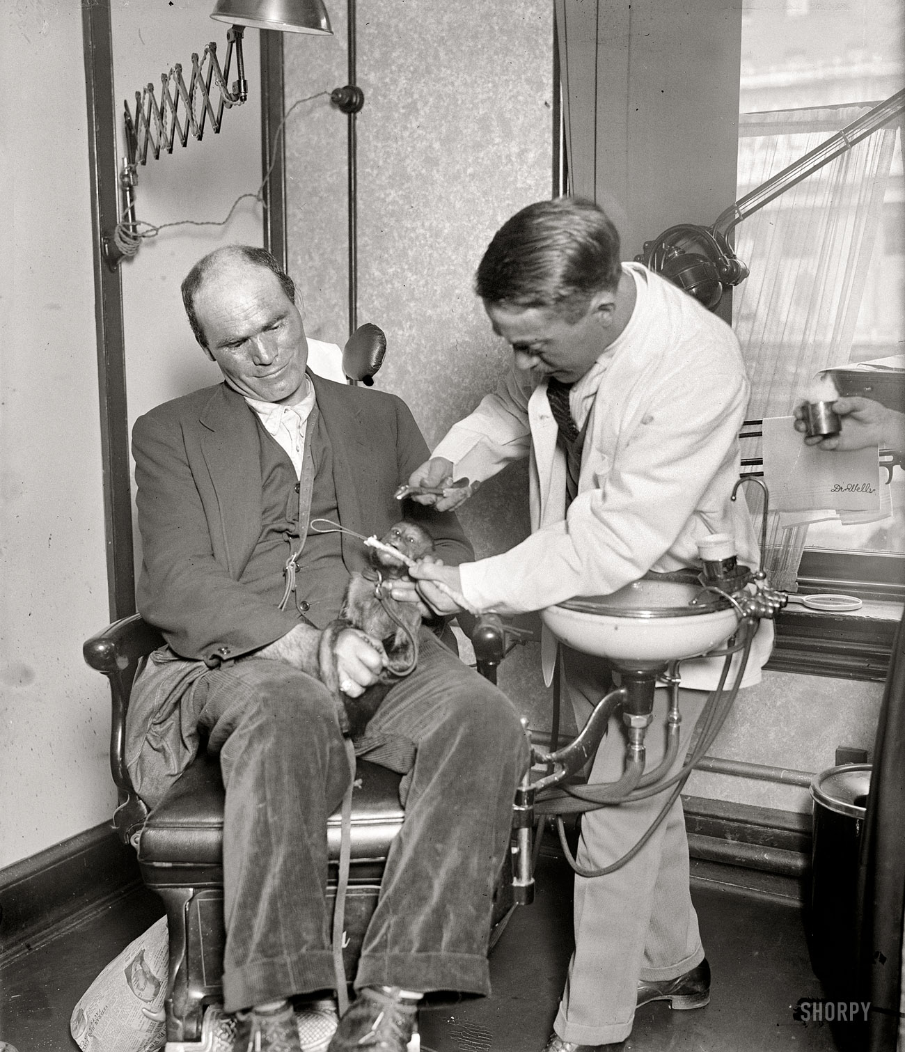 May 29, 1924. Washington, D.C. "Pulling monkey teeth." The dentist seems to be one Dr. Wells. National Photo Co. Collection glass negative. View full size.
