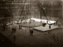 Preparing for Circus Week at Madison Square Garden, New York. March 21, 1913. 5x7 glass plate negative, George Grantham Bain Collection. View full size.