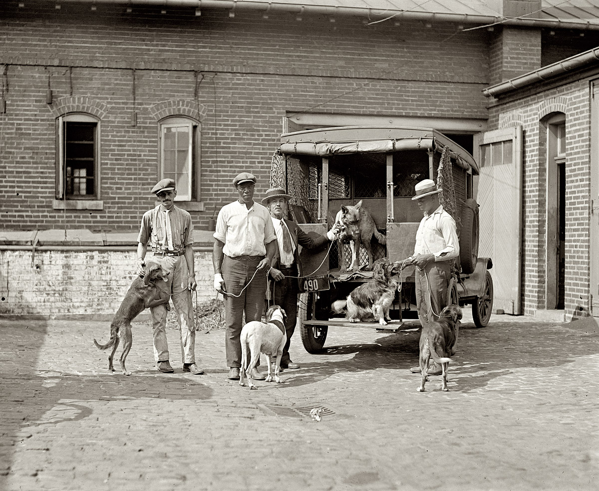 Washington, D.C., dog catchers in 1924. View full size. National Photo Co.