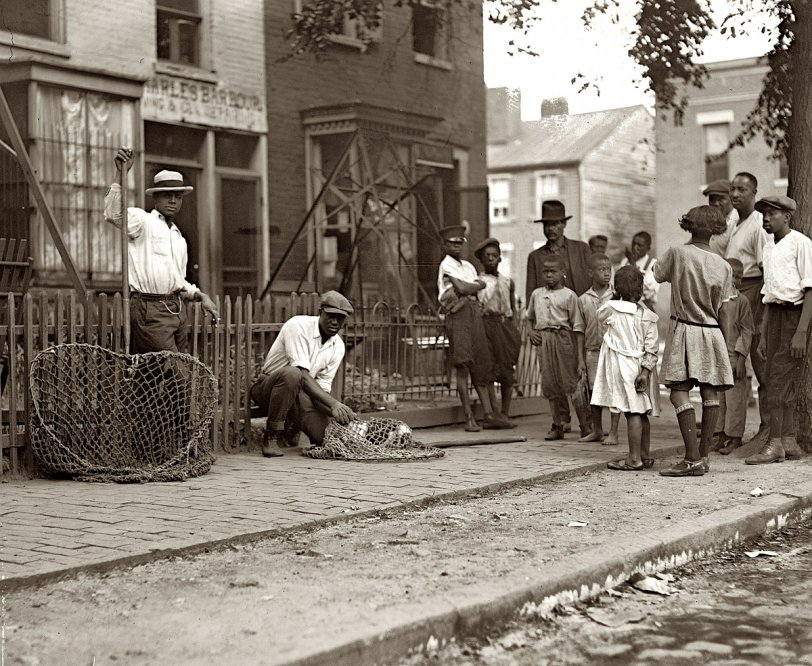 Photo of: Dog Catchers: 1924 -- 