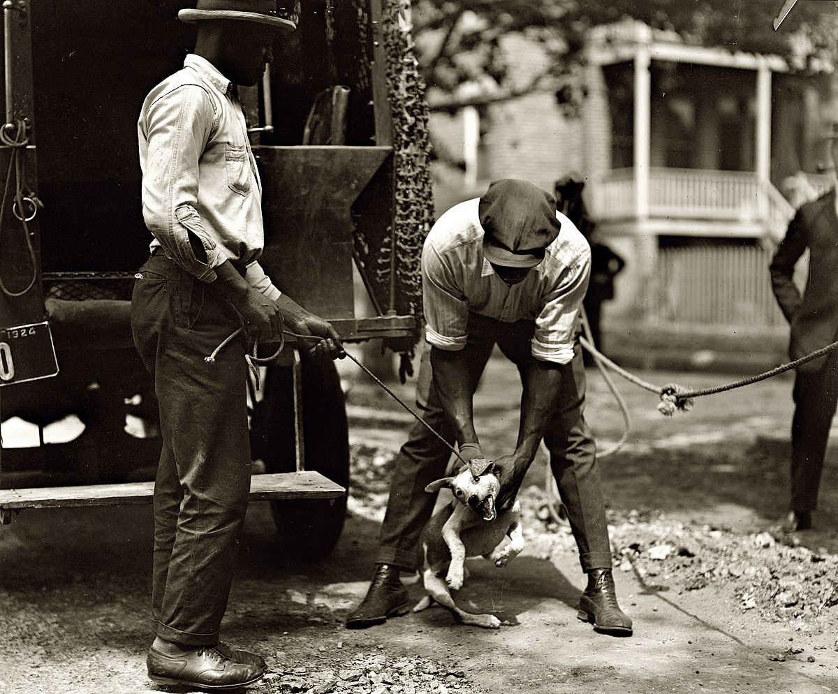 Washington, D.C., 1924. "Dog catchers." View full size. National Photo Co.