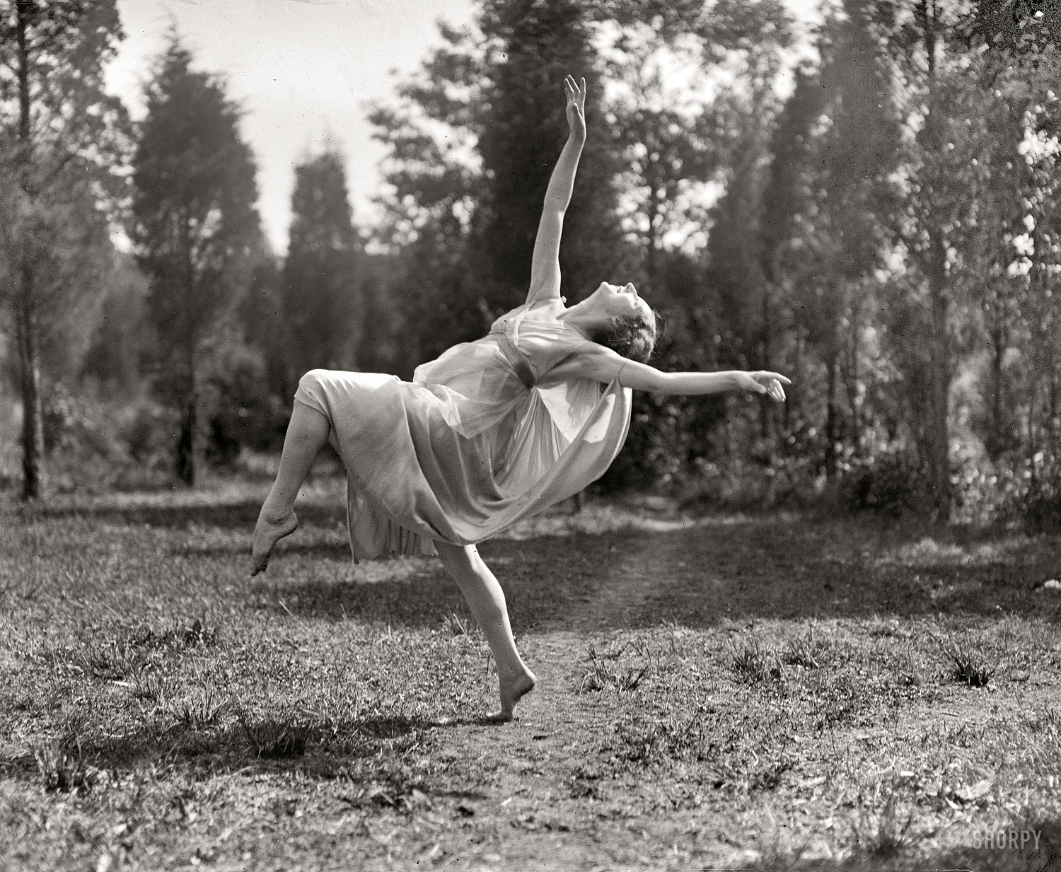 "Madame Lubouska, National American Ballet, 1924." The Russian dancer Desiree Lubowska, whose claim to fame seems to have been the popularization of "Egyptian" poses around 1915. National Photo glass negative. View full size.