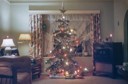Tinsel-Free Christmas: 1955