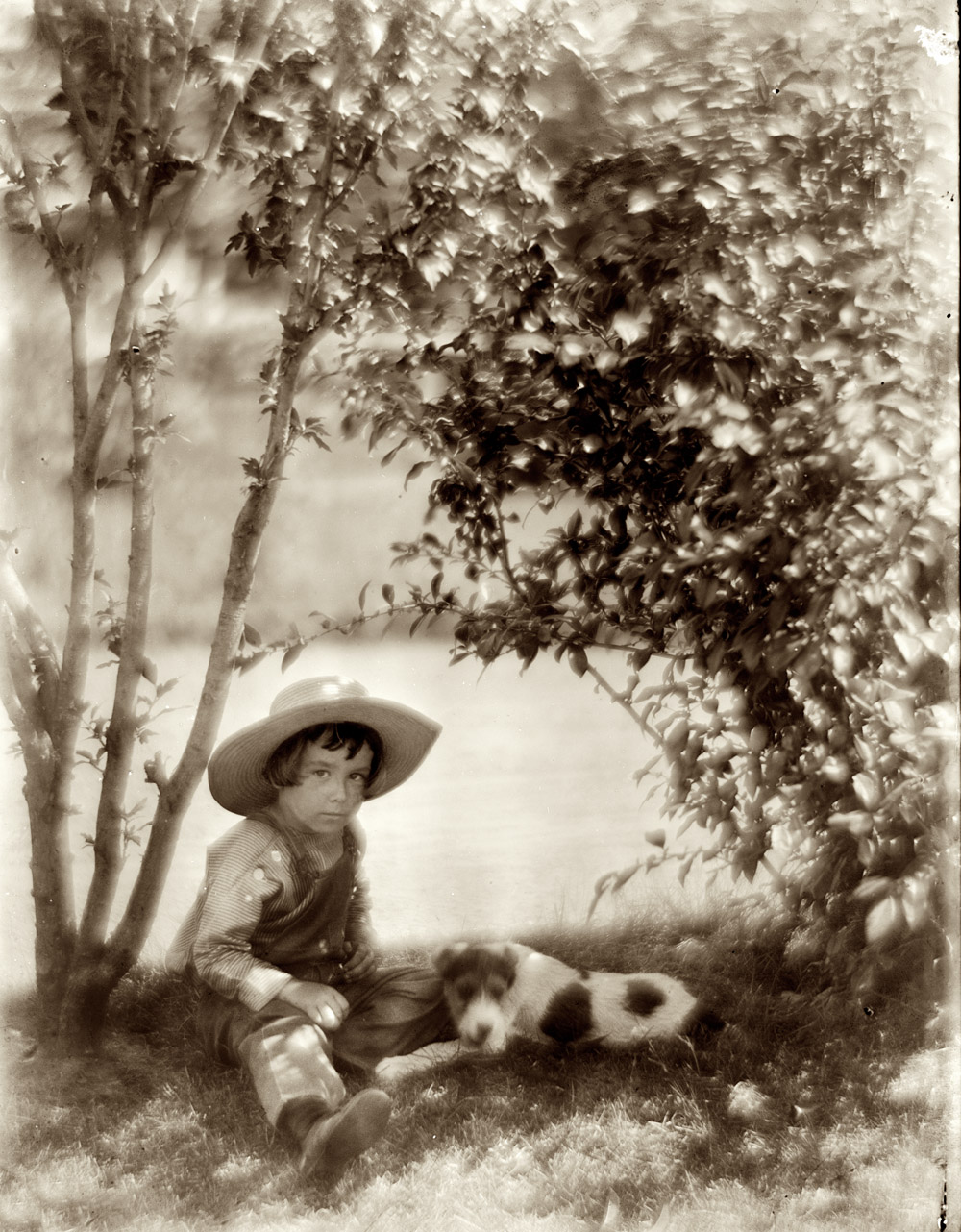 1904. "Boy with dog." Oceanside, Long Island. 8x10 dry plate glass negative by the pioneering portrait photographer Gertrude Käsebier. View full size.