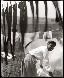 Newport, Rhode Island, 1902. "Informal portrait of a young Negro woman working amid clotheslines heavy with sheets and stockings." 8x10 inch dry plate glass negative by Gertrude Käsebier (1852-1934). View full size.