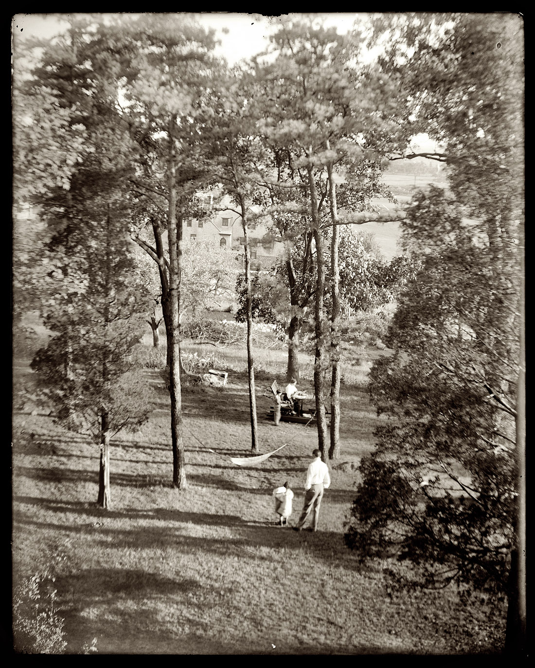 "The Turner garden at Waban, Massachusetts. 1910." View full size. 8x10 dry plate glass negative by Gertrude Käsebier. Gift of Mina Turner, 1964.