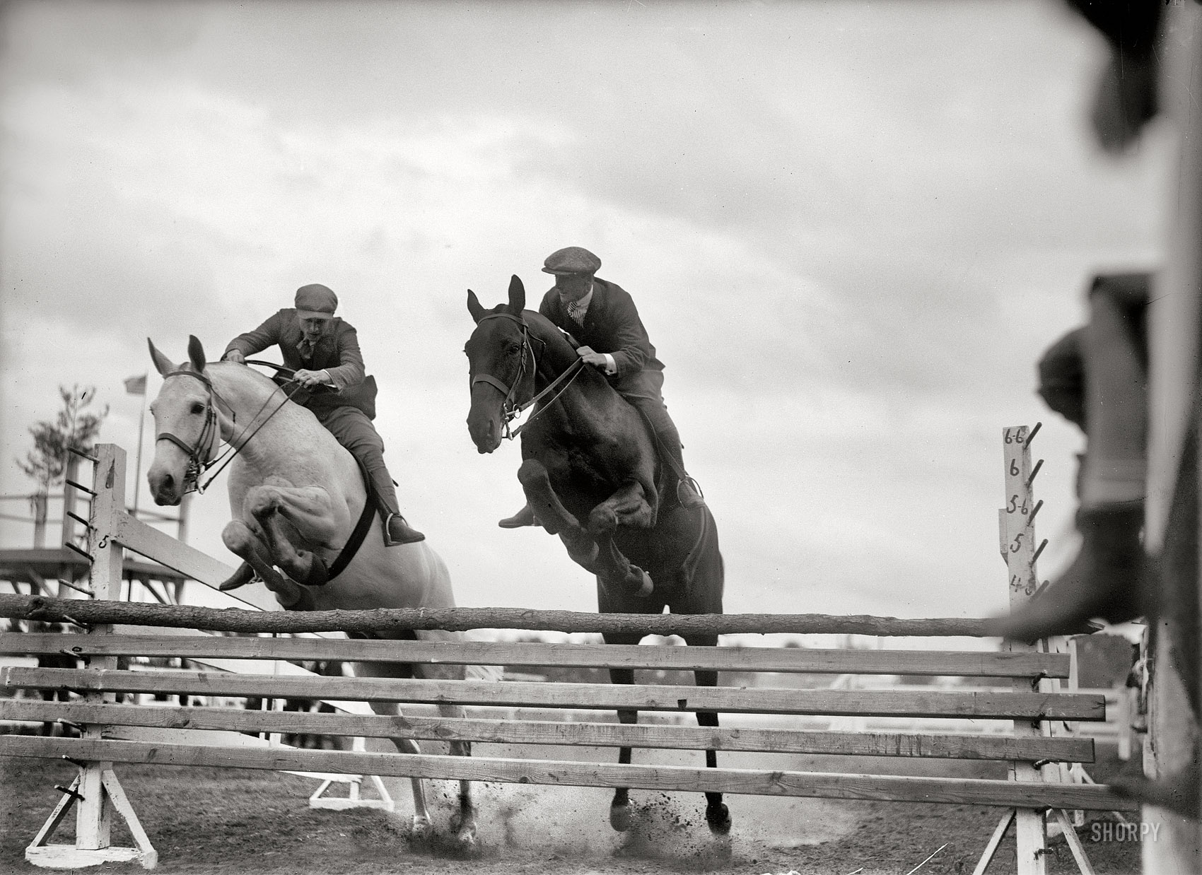 Washington, D.C., or vicinity. "Horse shows, miscellaneous, 1919. Unidentified jumpers." Harris & Ewing Collection glass negative. View full size.