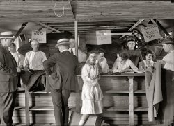 1919. The caption for this is the same as for the peas photo: "Buying Army food sold at fish market." Though the goods here seem to be blankets. View full size.
Under the boxThe box the flirting guy is under isn't a box, but a hanging sign, like the other two; it just happened to be swinging side to side during the exposure. This candid shot also gives the lie to the oft-expressed contention that people didn't smile in those days. Unless there was some guy yelling at them "OK, now look at the camera and hold it!" they smiled just fine.
DestinyMethinks the guy under the box and the woman in front of the uniform are destined for bigger things.
Office Romance!Holy cats, would you look at those two sweethearts gazing into each other's eyes over the water glass? That is the sweetest thing I've seen on Shorpy in many a day. All the figures around them just melt into the background as they eyes are drawn in - and I'm sure that's how it felt for them, too!
Makes me want to run out and but a plaid cotton/wool Army blanket.
Can I buy you a blanket?Did the flirting couple eventually tie the knot after being fired for not paying attention on the job? 
You&#039;re Right PurtyI think the fellow is smitten, the woman maybe not so much. The thought balloon over her head could well read, "Golly, if he comes on to me once more, I'll scream."
The six folks in the right half of the photo form quite a tableau. I like the direct gaze of the other young woman.  The uniformed guy probably was there looking for a hat that fit.
A penny for her thoughtsThe woman in front of the couple has captured my interest.  Love to know what she is pondering!
(The Gallery, D.C., Harris + Ewing, WWI)