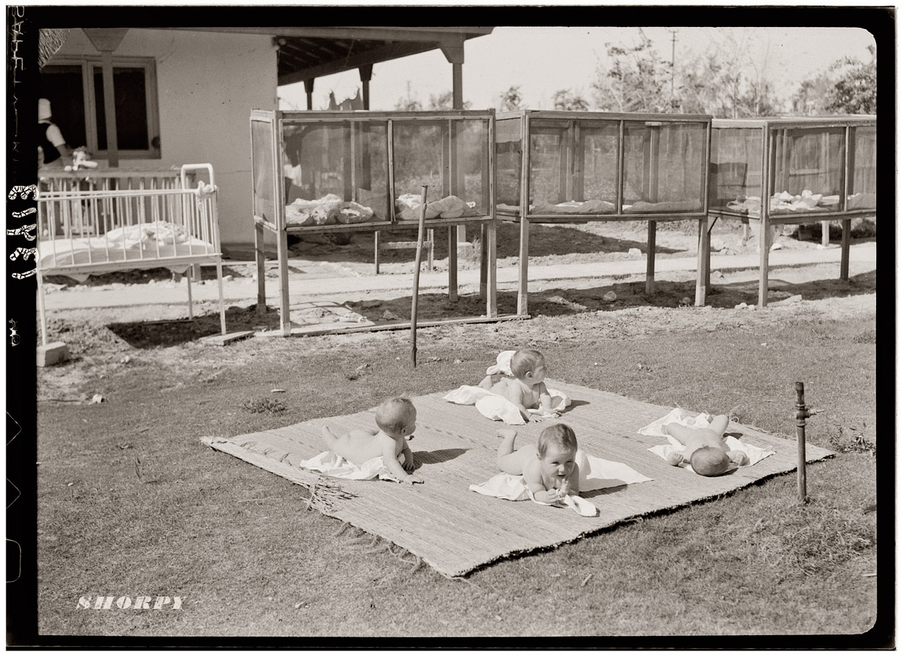 Infant cages and babies sunbathing on nursery lawn in the Israeli settlement of Gat. February 12, 1946. View full size. Matson Photo Service.
