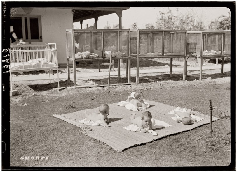 Free-Range Babies: 1946