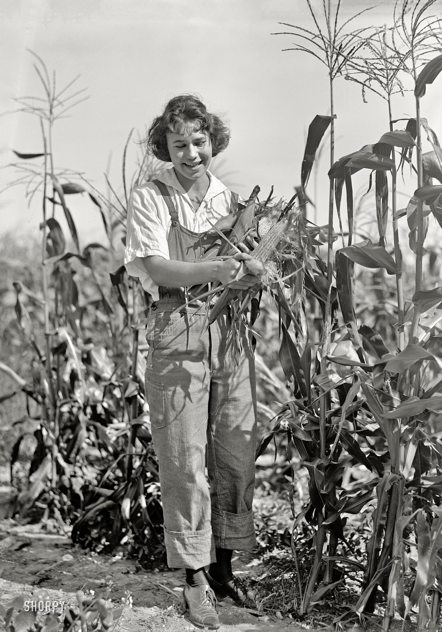 1919. Washington, D.C., or vicinity. "Girl Scouts. Farmerette harvesting crops." Harris & Ewing Collection glass negative. View full size.