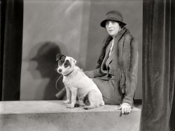 1933. "Mrs. Walter A. Foote, portrait with dog." Harris & Ewing. View full size.