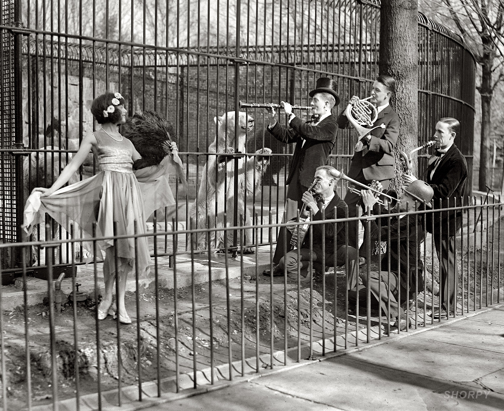Washington, D.C., 1925. "Better 'Ole Club Orchestra at the National Zoo." National Photo Company Collection glass negative, Library of Congress. View full size.