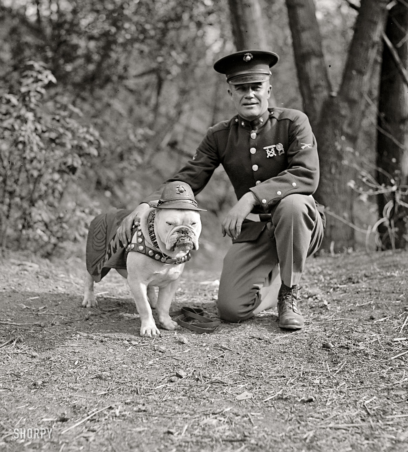1925. "Sgt. Jiggs." The Marine Corps mascot in Washington, D.C., with an actual Marine. National Photo Company Collection glass negative. View full size.