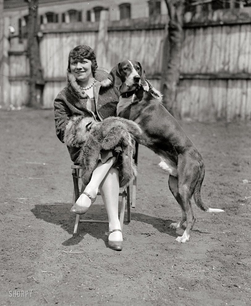 Washington, D.C., 1925. "Mrs. Carl T. Thoner with 'Trailer.' " National Photo Company Collection glass negative. View full size.

