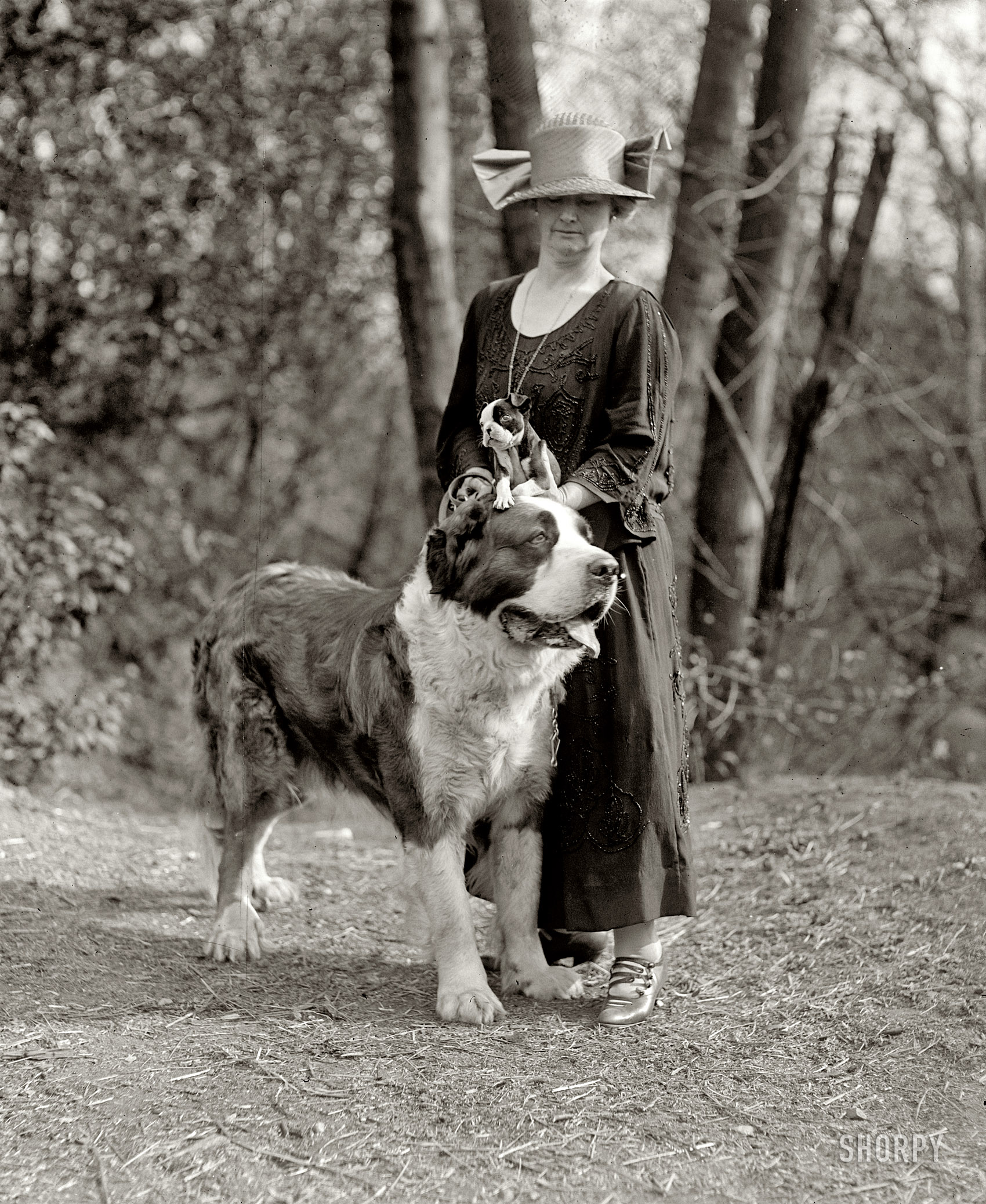Washington, D.C., circa 1925. "Mrs. Marion Durphy with 'The Duke of Arlington.'" National Photo Company Collection glass negative. View full size.