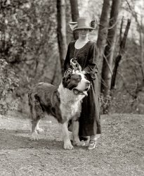 Head Puppy: 1925