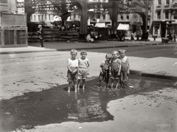 New York City, July 31, 1913. "Children at Play." 5x7 glass negative, George Grantham Bain Collection, Library of Congress. View full size.
eddieandbillOh the joy when the world suddenly becomes "puddle-wonderful."
Splash.My favorite part is the little footprints in and out of the puddle. 
100 Years YoungThese are the cutest 100 year olds I have ever seen!
and the little lame balloonmanwhistles far and wee
The guy in the backlooks like a texting hipster
An El in New York?Isn't that a Chicago term?
[You've never heard of the Third Avenue El? - Dave]
SobrevivientesVivirá alguno de ellos, sería posible encontrarlo...
Se les ve llenos de vitalidad.
Hemosa foto.
Gracias Shorpy.
Yippee!Those are some seriously cute and joyous kids!
Spring waterMmm, clean pure street water!
Same as it ever wasNow kids open fire hydrants and do a similar thing. The NYC fire department now fits the fire hydrants with special caps that sprinkle water rather than a whole stream which would waste far more water. nowadays I ride by on my bike on the hottest days of summer and can't resist going under the water sprinkles. 
Paco matematicamente es posible que alguno este vivo.. intrigante!
Ack!Maybe this is just the 21st century in me speaking, but -- Ew! Ew! Ew! Get out of there! No!
(The Gallery, G.G. Bain, Kids, NYC)
