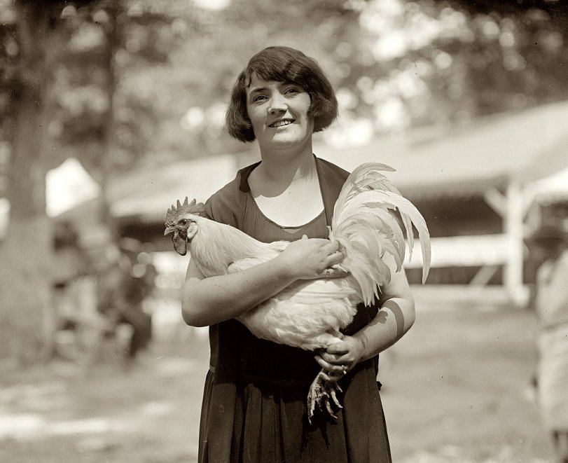Photo of: Rockville Rooster: 1925 -- August 27, 1925. Montgomery County, Maryland. 