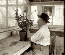 September 18, 1925. W.S. Abbott of Agricultural Extension Station in Vienna, Virginia, with "Sultana." View full size. National Photo Company Collection.