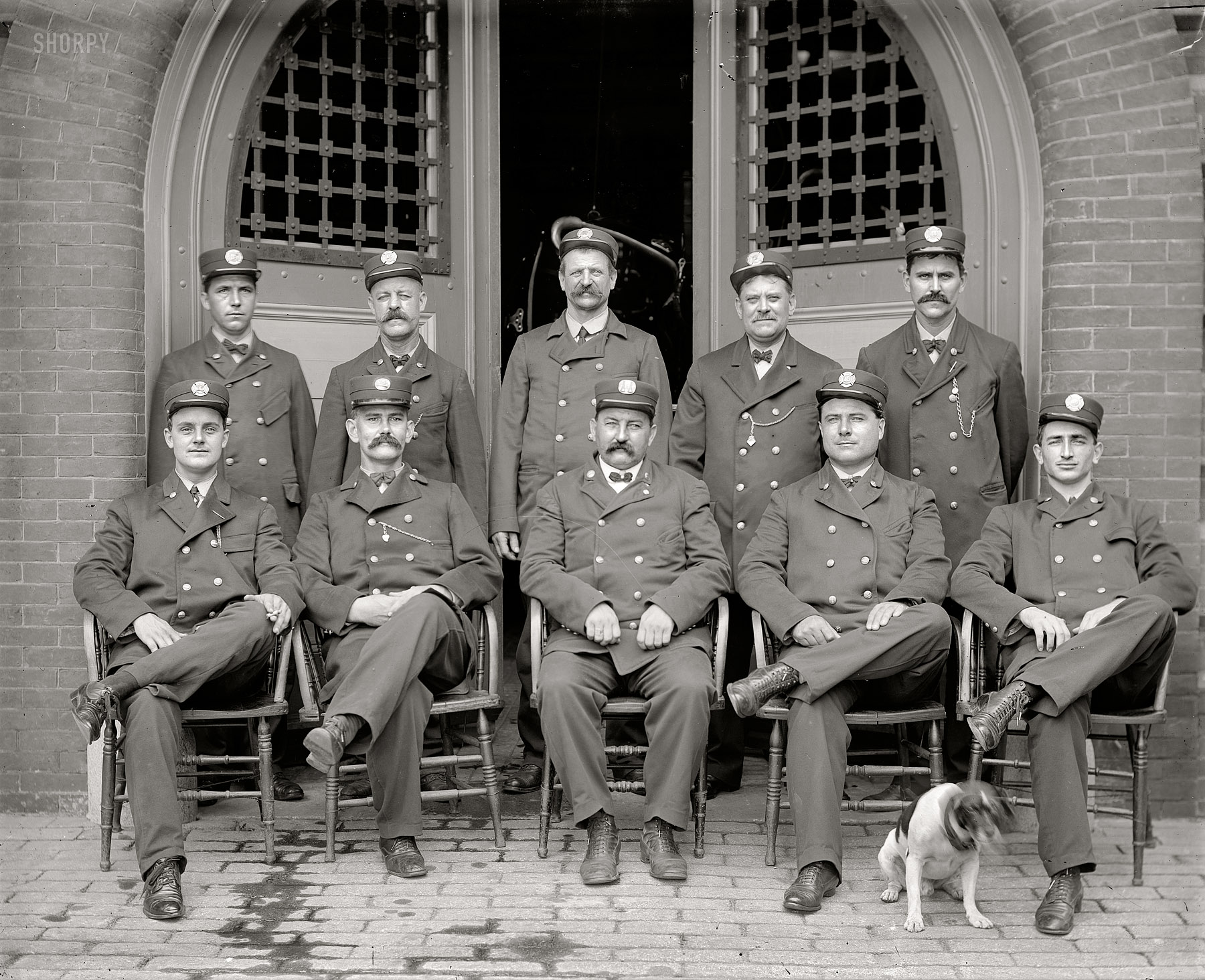 Washington, D.C., circa 1910. "Engine Company No. 15." Ten firemen and their firedog. Harris & Ewing Collection glass negative. View full size.