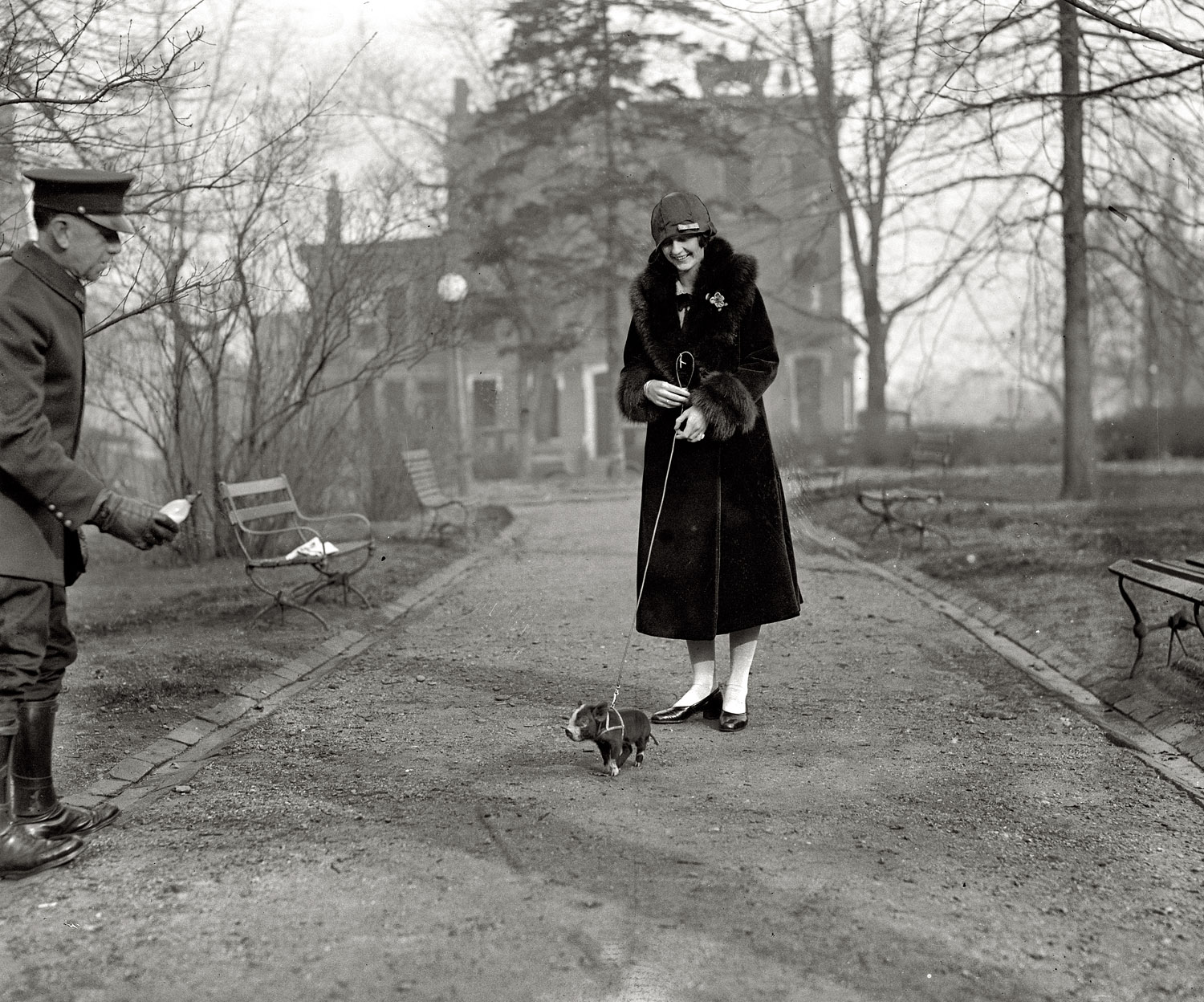 December 1, 1925. Miss Lois Hoover and pig out for a stroll in Washington. With a chauffeur to do the heavy lifting. View full size. National Photo Company.