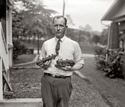 Dec. 11, 1925. Washington, D.C. "J.N. Swartzell with miniature railroad." Finally we see the man behind the trains. National Photo glass negative. View full size.
RaindropsTo judge from the spatters on his shirt, it looks like it was raining when the picture was taken. If so, Mr. Swartzell is probably looking a little uncomfortable because he wants to get his engines back indoors where it is dry.
FascinatingThe more I see of this fellow and his work the curiouser and curiouser
become. I'd love to see his machine shop and I wonder if he cast parts
himself before machining.
Railroad TieCan't have those locomotives running over your neckwear.
CastingsThe item in his right hand is a pattern (likely made from wood) for the locomotive boiler. Note the round extensions sticking out either end.  These are "core prints" that locate a inner piece of the mold that makes a hollow part when cast.  More than likely the locomotive boiler was cast in brass or bronze in a sand mold.
(The Gallery, D.C., Natl Photo, Railroads)