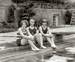 June 21, 1926. Washington, D.C. "Peggy Walsh, Clytie Collier and Ethel Barrymore Colt." National Photo Company glass negative. View full size.