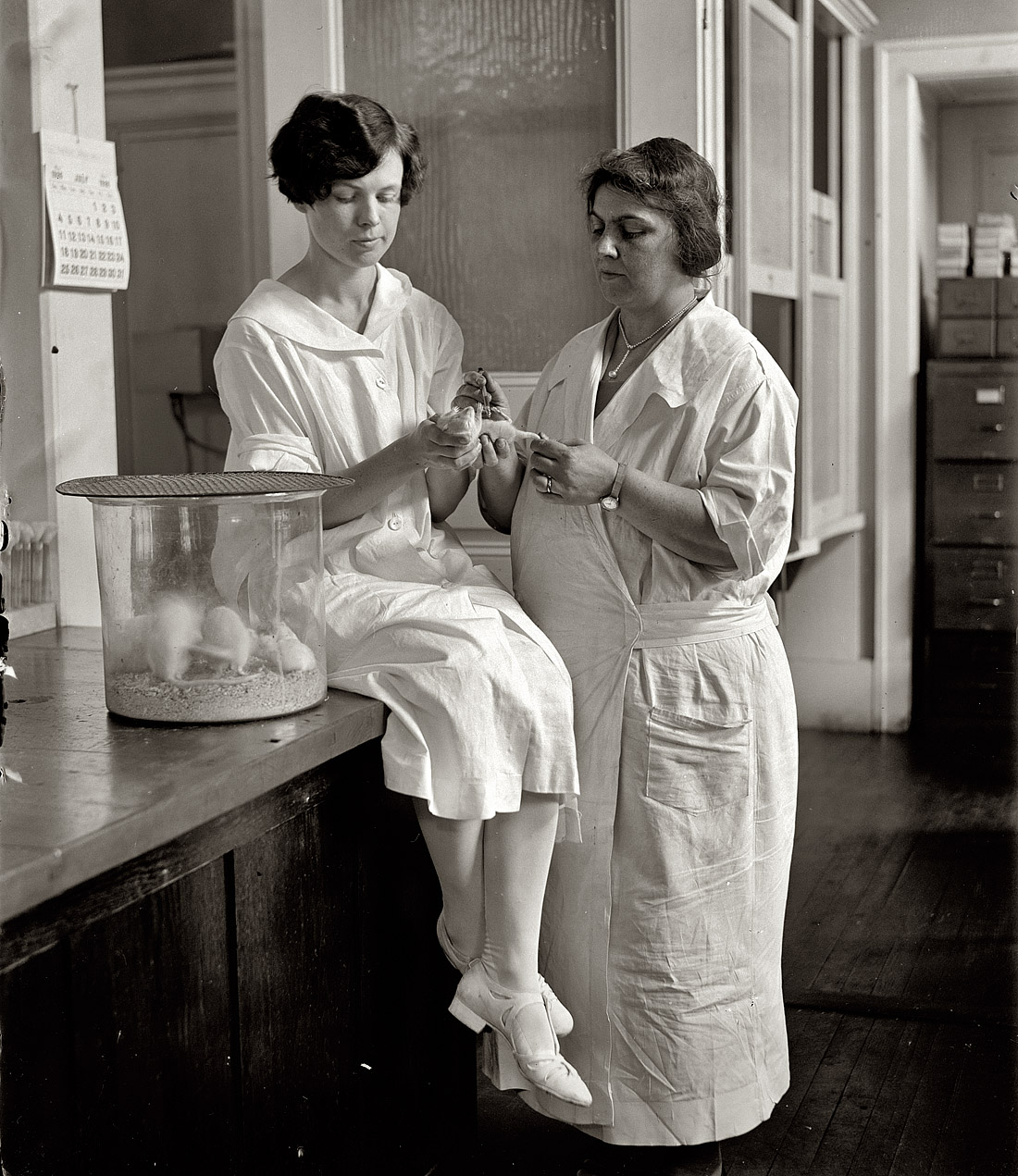 July 8, 1926. Washington, D.C. "Miss Hattie E. Alexander & Mrs. S.A. Carlin testing serum." View full size. National Photo Company Collection. [Update: A few years after this photo was taken, Hattie (on the left) would become Dr. Alexander. As president of the American Pediatric Society in the 1960s, she was among the first women to head a major medical association.]