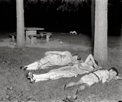 Washington, D.C., in the summer of 1926. "Hot weather, Rock Creek Park." National Photo Company Collection glass negative. View full size.
Flash powder...Considering the flash bulb wouldn't be invented for another four years, this photo must have been taken with good ol' fashioned flash powder.  In the middle of the woods during a heat wave seems like a great place to be setting off pyrotechnics, no?
Flash powder...Or headlights.
(The Gallery, D.C., Kids, Natl Photo)
