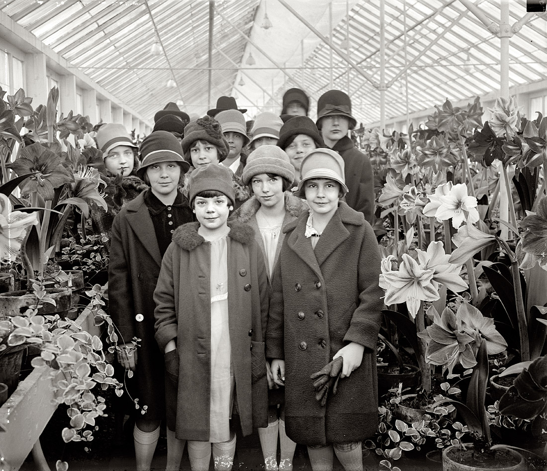 March 21, 1927. Washington, D.C. "Ruth Jardine (at right) and class at Amaryllis show." View full size. National Photo Company Collection glass negative.